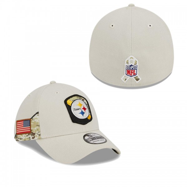 Men's Pittsburgh Steelers Stone 2023 NFL Salute To...