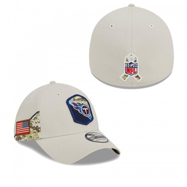 Men's Tennessee Titans Stone 2023 NFL Salute To Se...